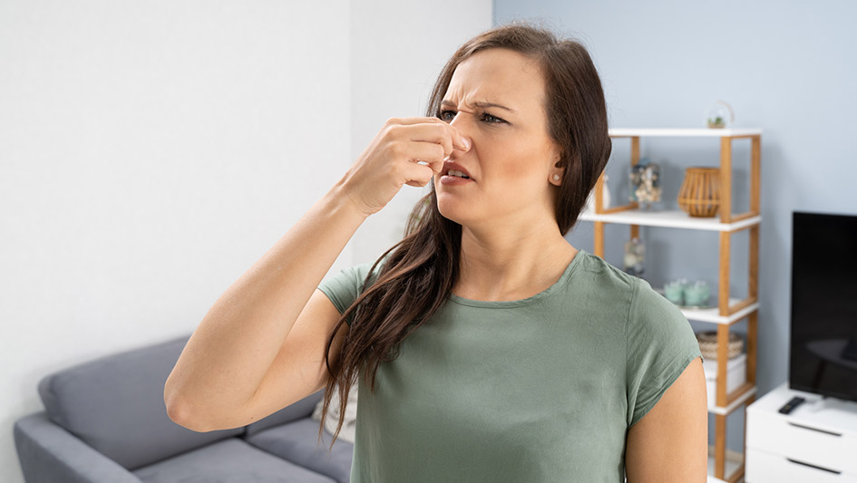 Six Common Air Conditioner Smells Answered and How to Fix Them